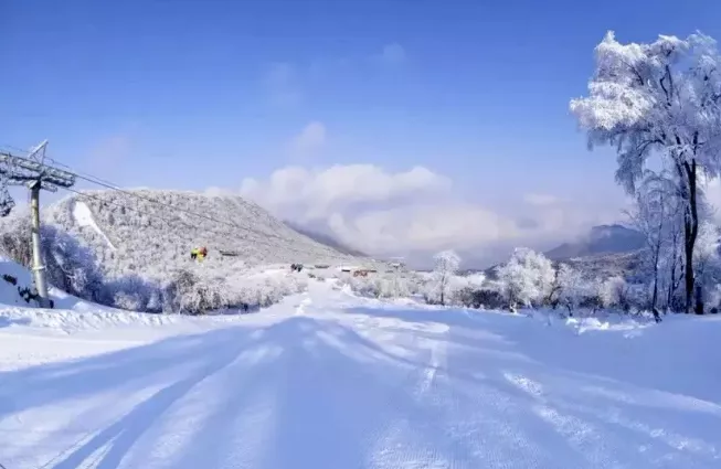 鷓鴣山滑雪場2020開放時間及門票價格 阿壩滑雪場有哪些