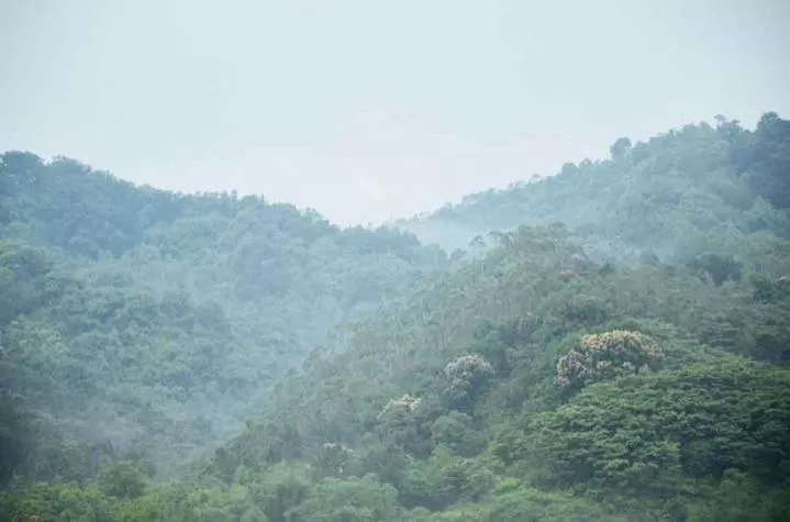 南昆山居溫泉度假村怎么樣