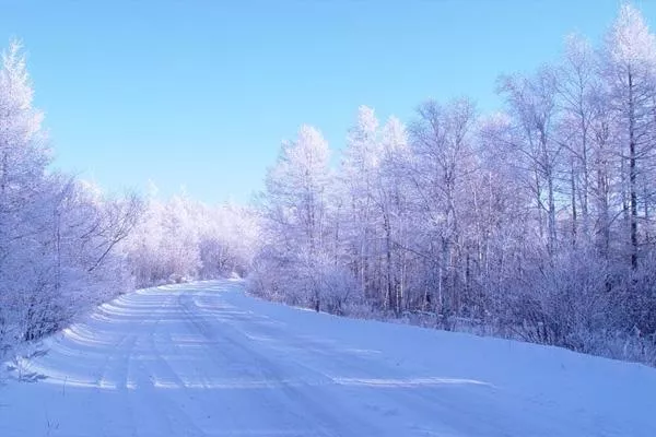 大興安嶺下雪了嗎現(xiàn)在 冬天去大興安嶺玩什么