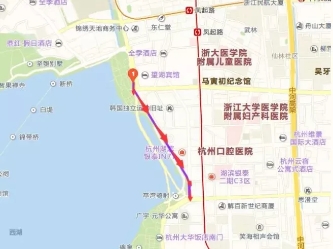 2020杭州落葉不掃路段匯總