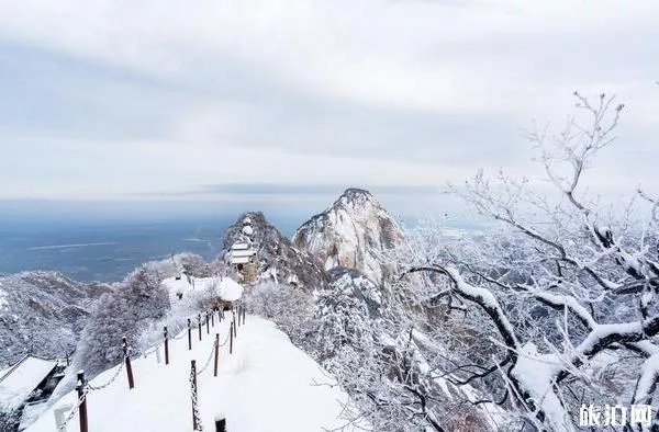 華山值得一去嗎 華山值得爬嗎