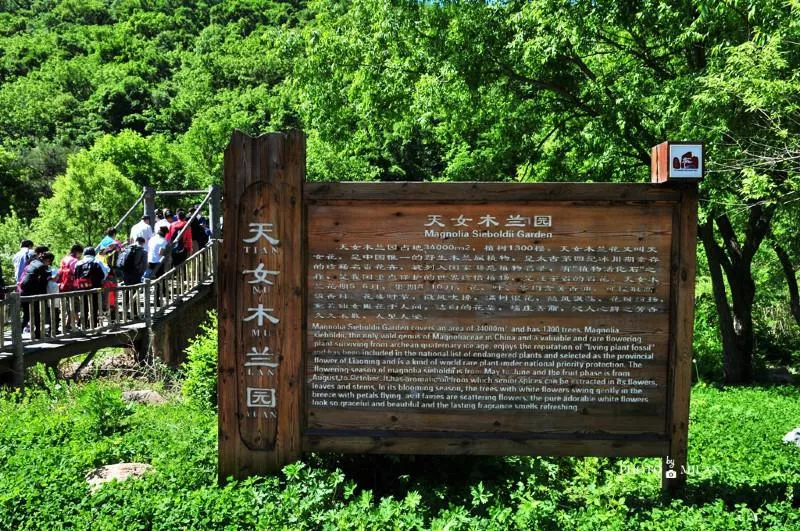 撫順有什么旅游景點 去撫順需要帶什么