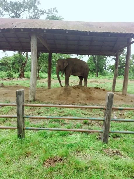 尼泊爾旅游安全嗎 尼泊爾最近旅游安全嗎