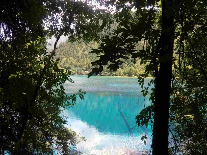 九寨溝8月份去好嗎 九寨溝8月旅游攻略