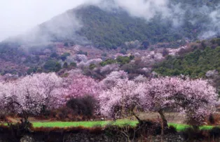 林芝旅游攻略 林芝旅游最佳季節(jié)