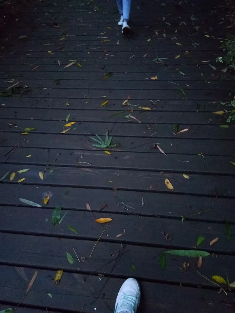 十里河灘濕地公園門票價格多少錢