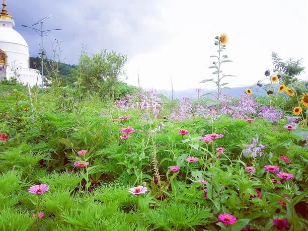 尼泊爾旅游安全嗎 尼泊爾最近旅游安全嗎