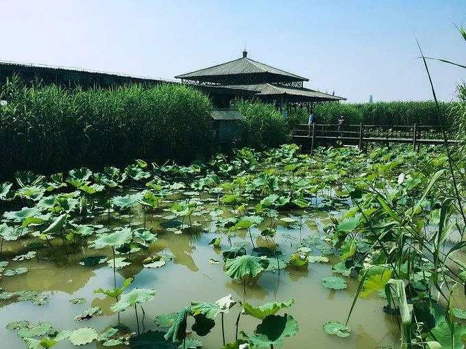 莫干山有什么好玩的 莫干山有哪些旅游景點