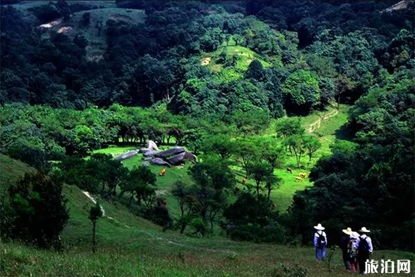 羅定八排山登山線路圖 八排山海拔高度多少