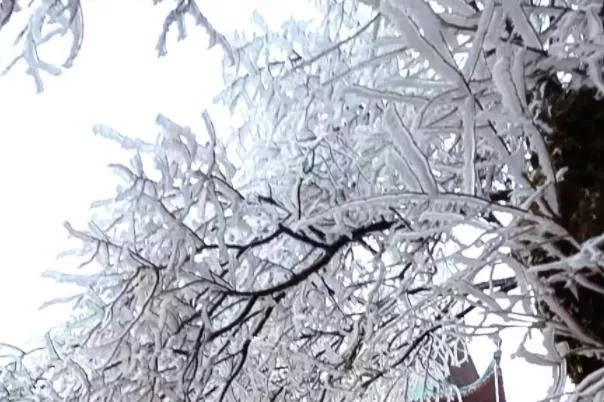 重慶小眾看雪的地方 超美風景地推薦