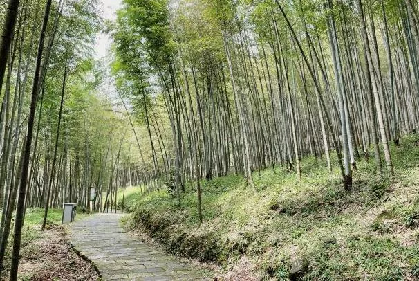 廣州最值得去的公園有哪些 寶藏公園景點(diǎn)推薦