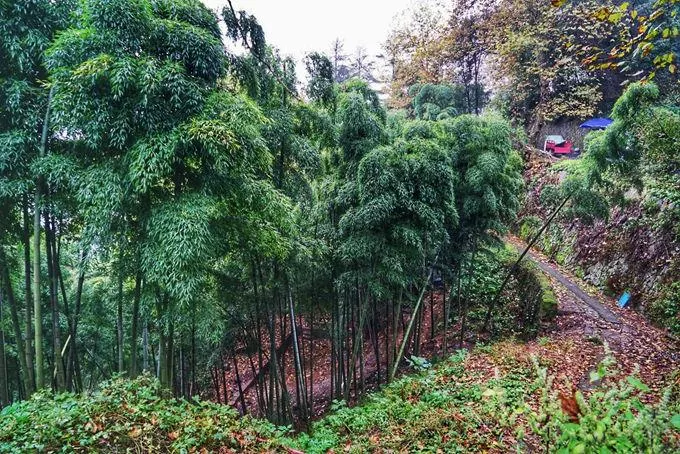 莫干山有什么好玩的 莫干山有哪些旅游景點