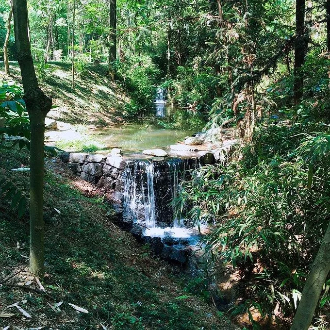 莫干山有什么好玩的 莫干山有哪些旅游景點