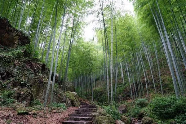 宜興竹海適合幾月份去 什么時(shí)候去最好