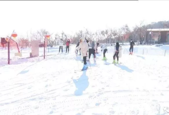 濟寧滑雪場在哪里 哪個好玩