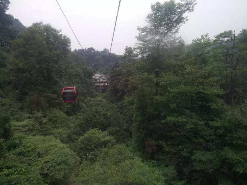 青城山自駕一日游旅游攻略