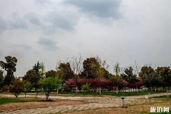 南京<a href='/jiulonghu/' target=_blank>九龍湖</a>公園可以燒烤嗎