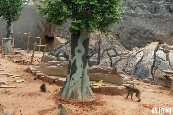 石家莊動物園門票多少錢一張最新票價2020