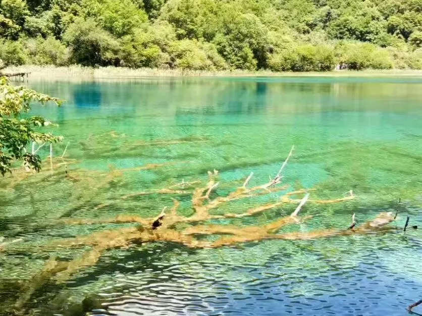 九寨溝8月份去好嗎 九寨溝8月旅游攻略