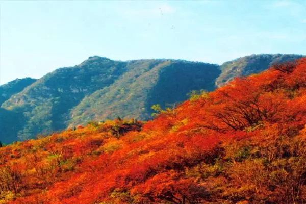 2022北京香山紅葉節(jié)交通管制