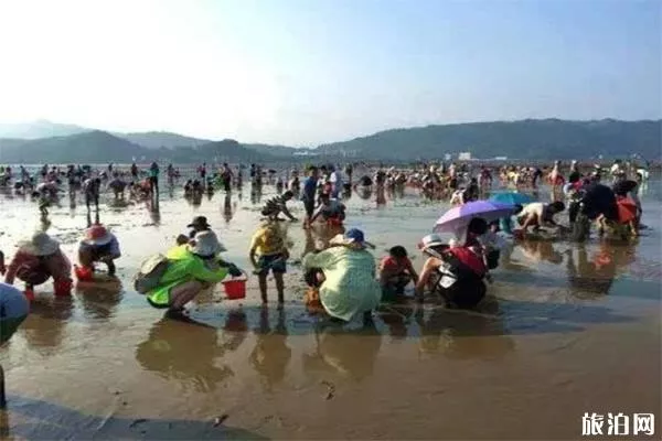 福建連江趕海一號(hào)趕海一日游