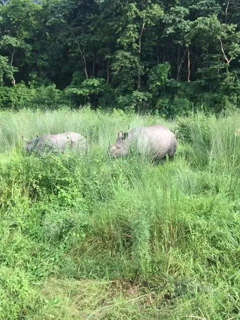 尼泊爾旅游安全嗎 尼泊爾最近旅游安全嗎