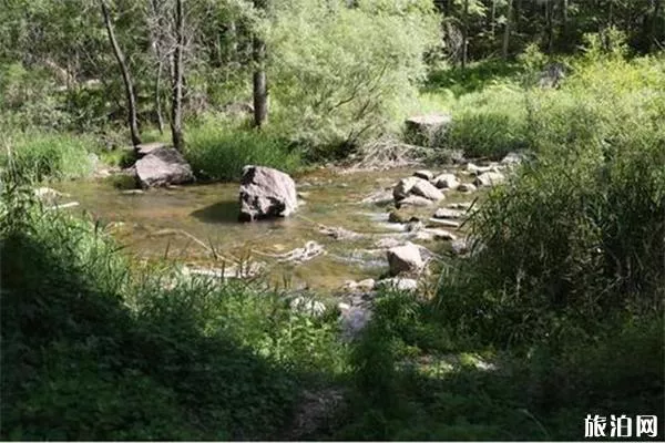 西帽山原始露營公園介紹 可以露營嗎-交通指南