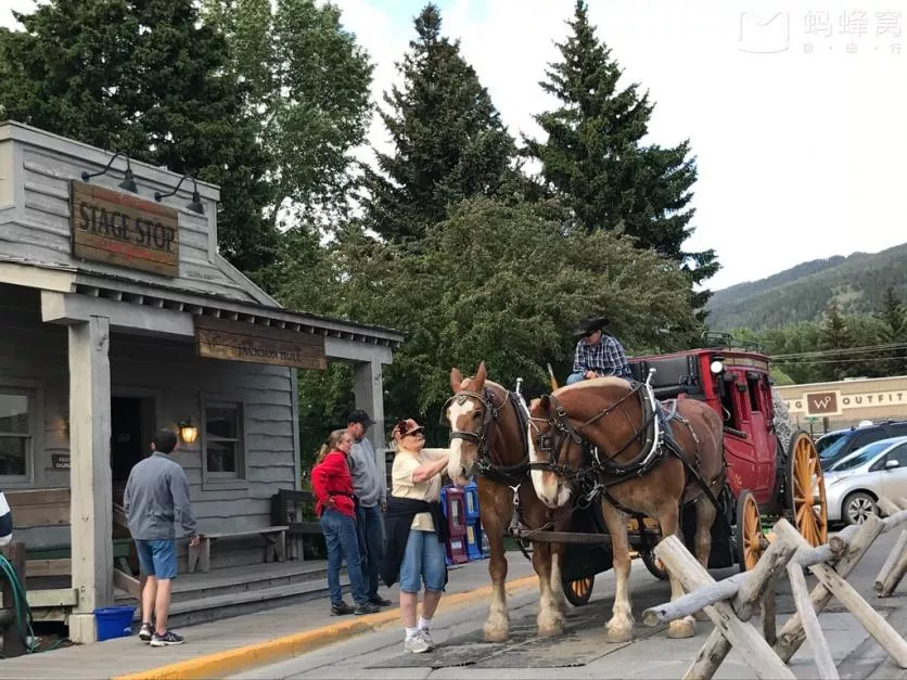 美國旅游的交通工具有哪些