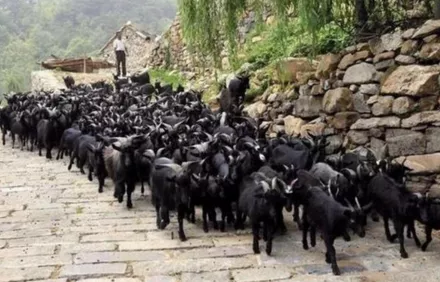 李家石屋村票價是多少  李家石屋村在哪里