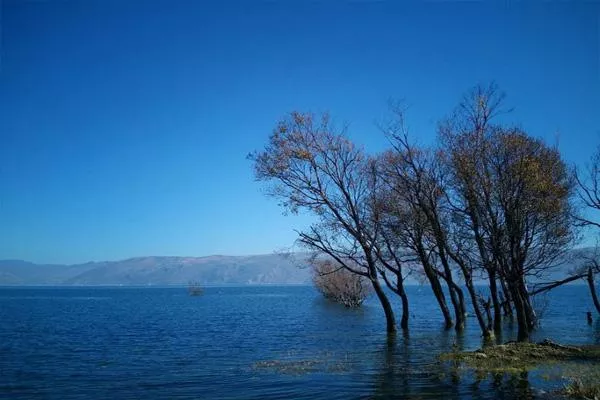 1月去大理天氣怎么樣 大理一月份適合旅游嗎