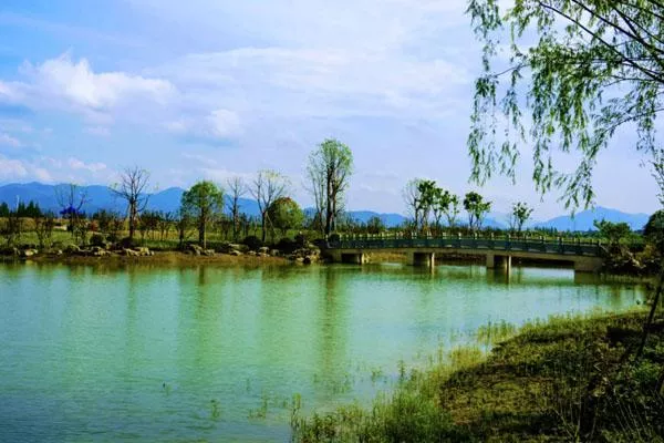 杭州銅鑒湖公園秋季看什么花