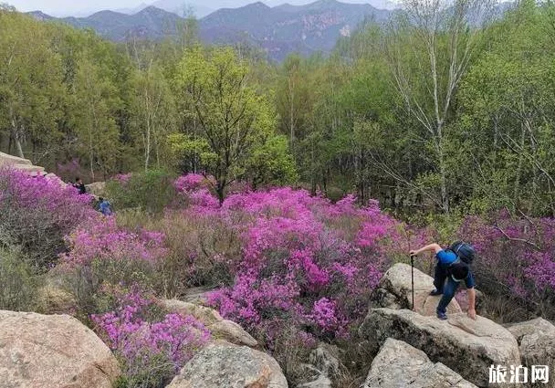 喇叭溝門原始森林公園攻略