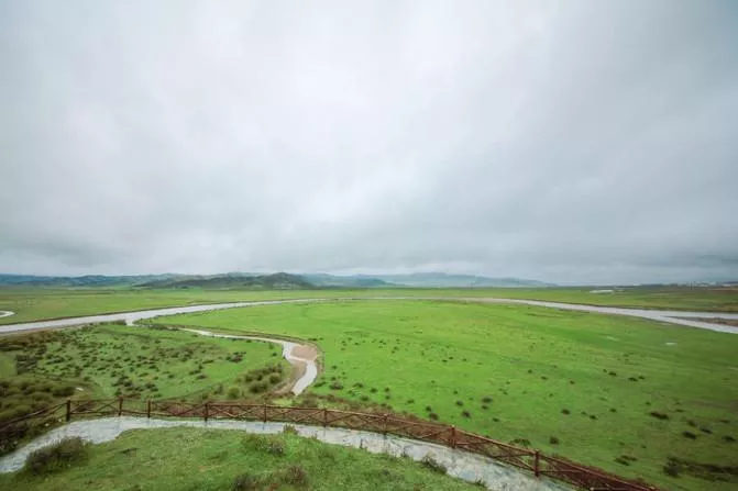 四川紅原大草原自由行攻略 紅原大草原花期是什么時候