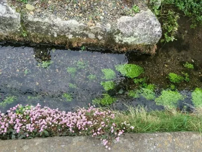 日
本琵琶湖有什么好玩的 琵琶湖有哪些景點