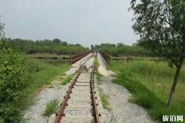 天津西青郊野公園可以燒烤嗎