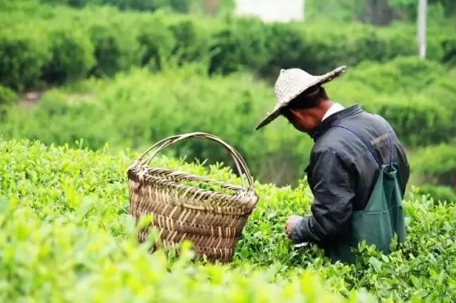 2018清明節(jié)從深圳坐高鐵去哪些景點玩比較好