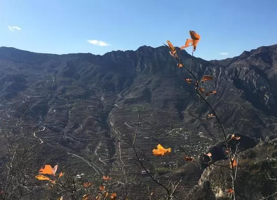 上方山游記 上方山好玩嗎