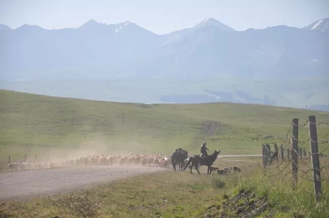 特克斯八卦城好玩嗎 特克斯八卦城旅游攻略