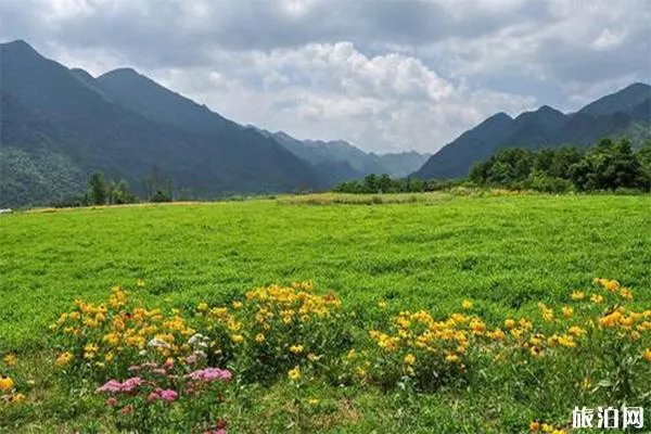 巫溪紅池壩景區(qū)介紹 可以開(kāi)車(chē)進(jìn)去嗎