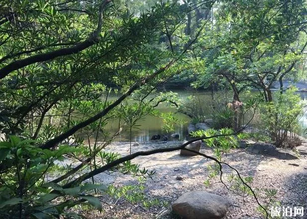 東莞水濂山森林公園有什么好玩的 游玩攻略