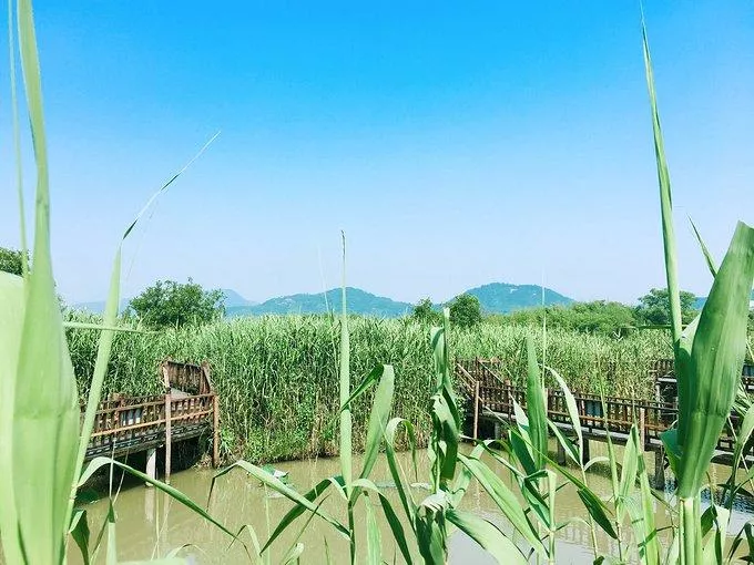 莫干山有什么好玩的 莫干山有哪些旅游景點