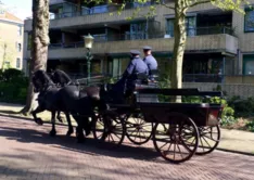 荷蘭為什么被稱為花之國(guó)   荷蘭為什么被稱為風(fēng)車(chē)之國(guó)  