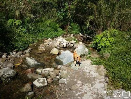 皮納圖博火山自由行攻略 皮納圖博火山探險(xiǎn)