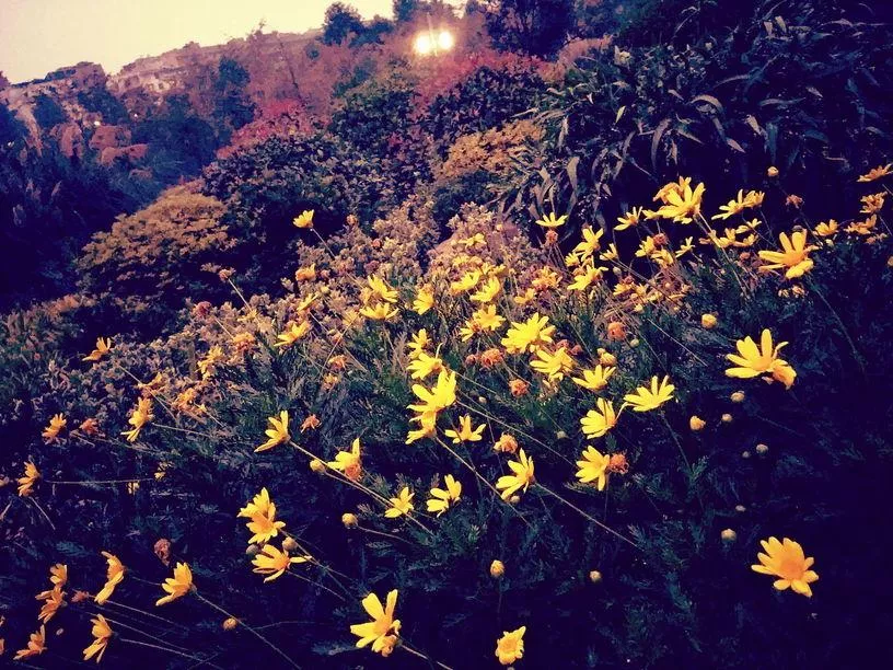 十里河灘濕地公園門票價格多少錢