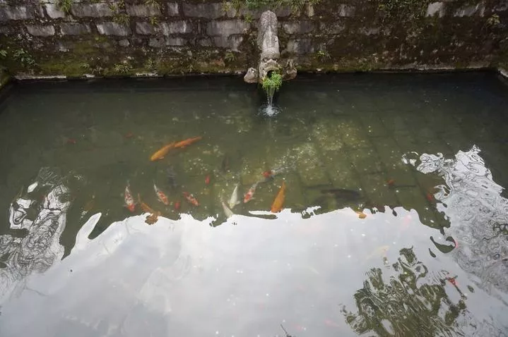 錫惠公園門票  錫惠公園門票多少錢