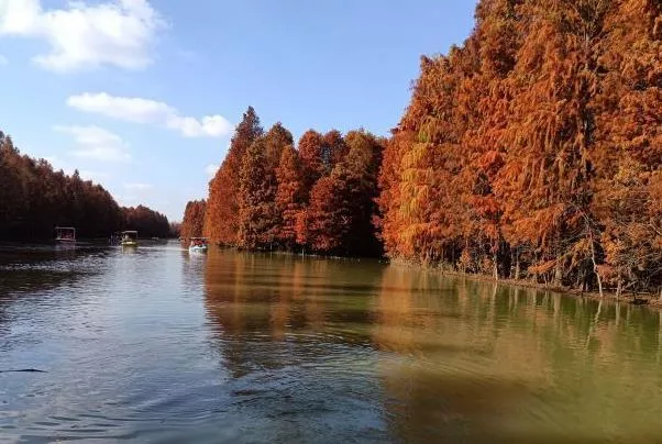 上海奉賢有什么好玩的景點 一整年的旅游指南