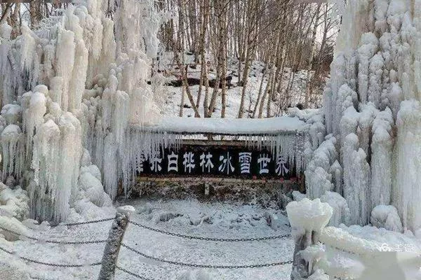 康樂縣白樺林冰雪世界免費到什么時候?日常門票價格介紹