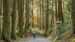 日本琵琶湖有什么好玩的 琵琶湖有哪些景點