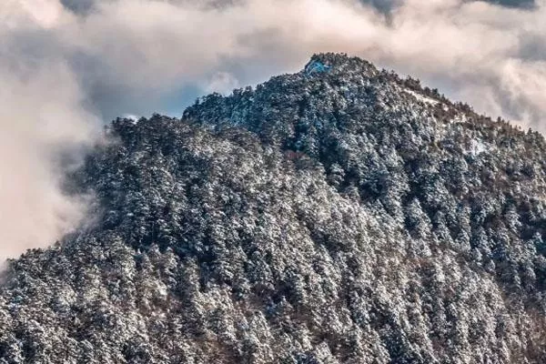 神農(nóng)架下雪了嗎2022 神農(nóng)架滑雪攻略