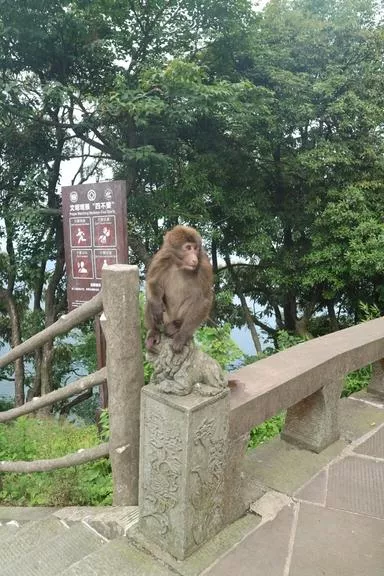 峨眉山有哪些景點(diǎn) 峨眉山有哪些寺廟